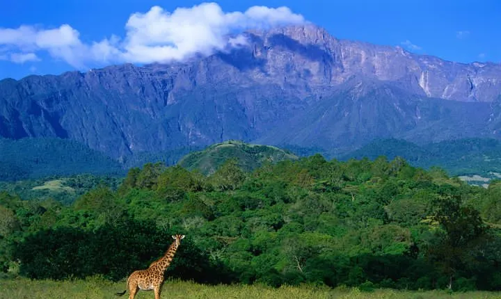 1 Day: Arusha National Park