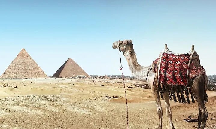 Visit Cairo Over Day, Pyramids, Egyptian Museum, and Lunch - Sharm El Sheikh