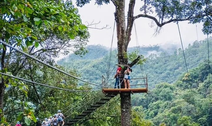Extreme Zipline and Sticky Waterfall Private Transfer