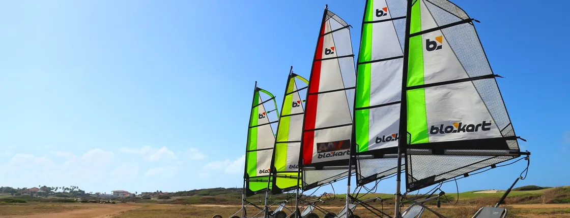 2-hour Blokart tour in Aruba