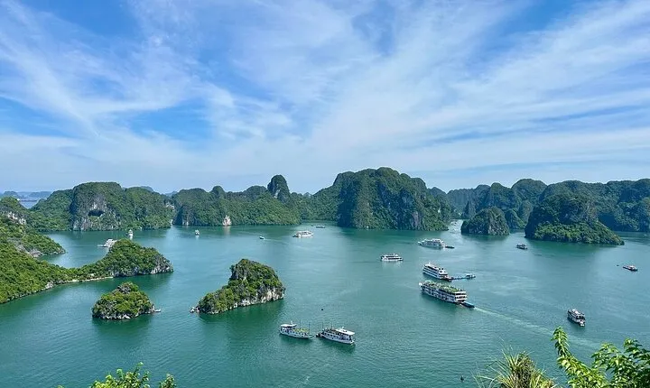 Halong Deluxe Day Tour with Alova Premium Cruise FROM Hanoi