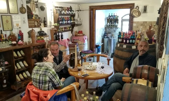 Wine tasting in the family winery, feel the spirit