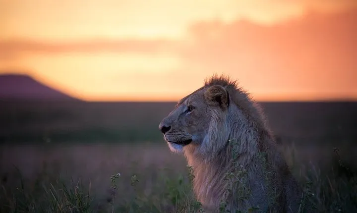 9-Days Soul of Tanzania Fly-in Safari