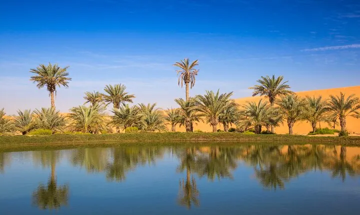 Full Day Al Ain City Tour with Lunch