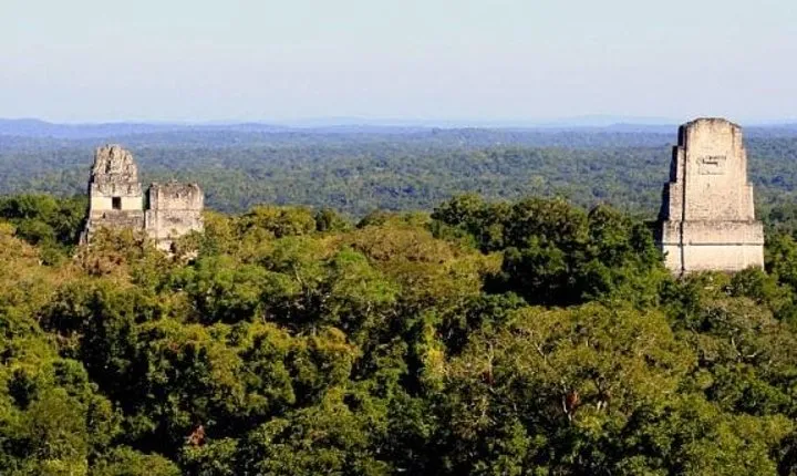 Tikal Day Trip by Air from Guatemala City with Lunch