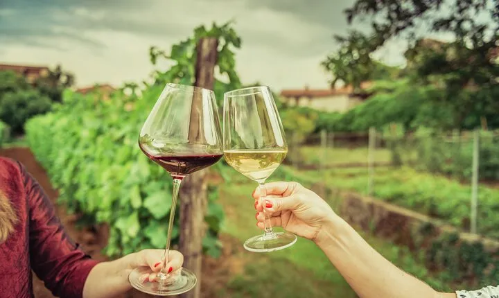 Private Luxury Tour: Ancient Nemea & Top Wine Tasting Experience