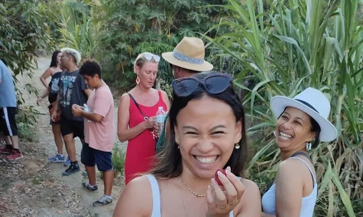 Guided Tour to the only coffee farm in Europe