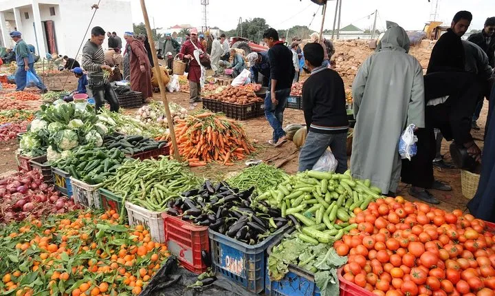 Essaouira Tour - Half day visit to berber market