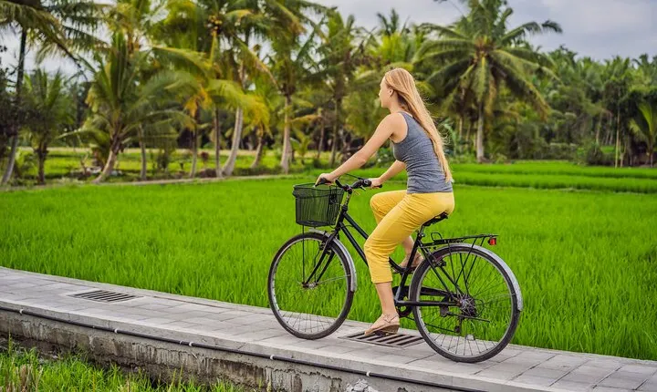 Half-Day Ubud Rice Field and Village Cycling Tour
