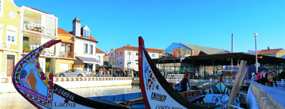 Aveiro and Costa Nova excursion with Moliceiro boat tour