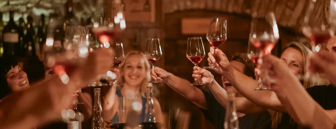 Wine tasting in Ljubljana