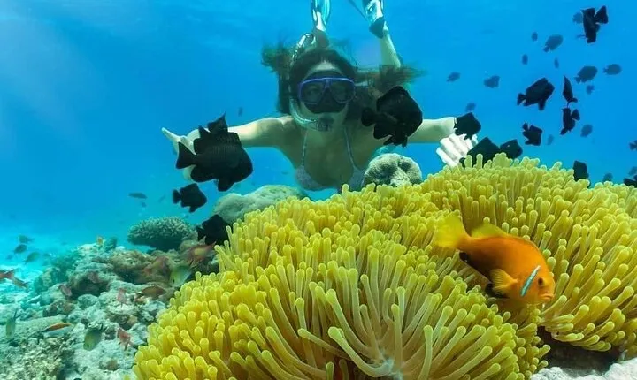 Private Snorkeling Blue Lagoon Beach