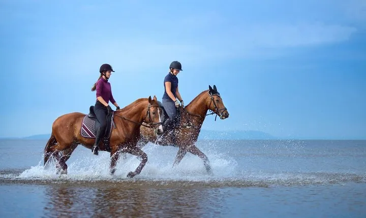 Experience Horse Riding in the stunning Desert - El Quseir