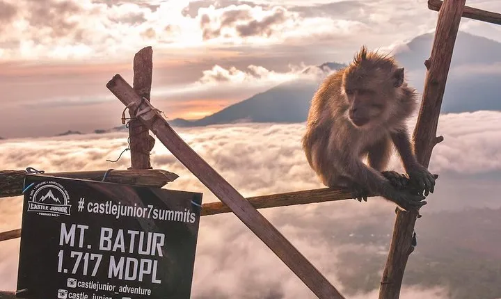 Hiking & Bali Swing