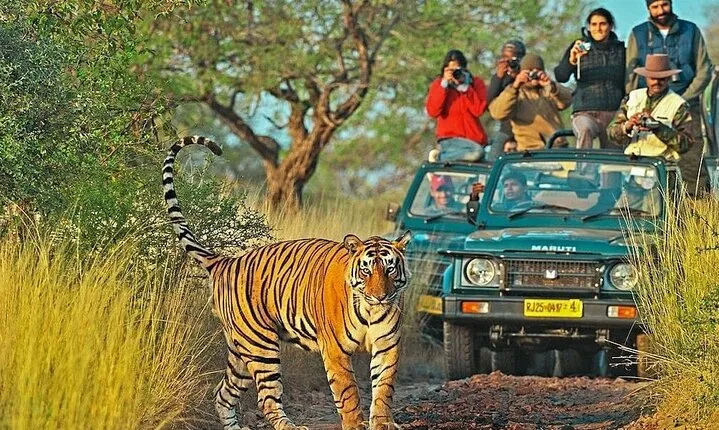 8 Days Golden Triangle with Ranthambhore Tour