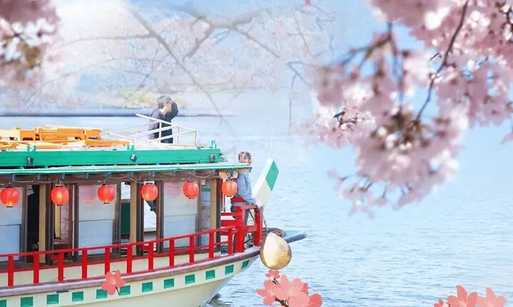 Tokyo Limited-Date Cherry Blossom Route Cruise & Show & Meal