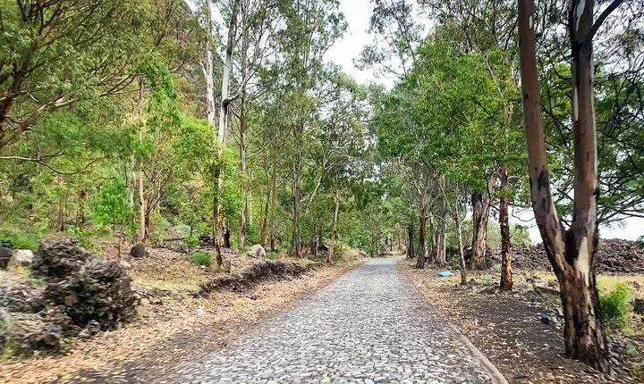 Full-Day Tour From São Filipe with Coffee Plantation and Natural Pools