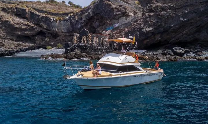 Whale watching and snorkelling in the whale sanctuary