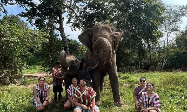 Chiang Mai Doi Inthanon National Park Elephants Care Camp Tour