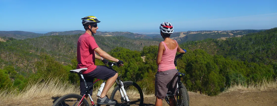 Half-day Lofty Descents tour by bike