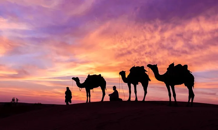 Douz Overnight Camp Stay in Sahara Desert with Dinner By Camel