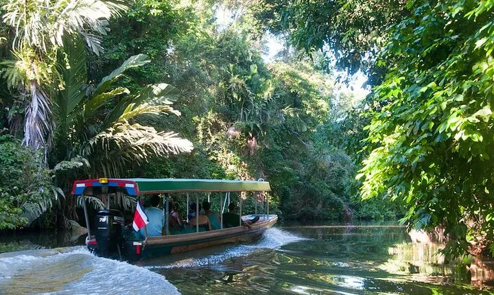 Caribbean Costa Rica: 5-Day Tour with Tortuguero National Park and Puerto Viejo