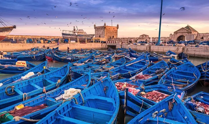  Marrakech to Essaouira: Day of Discovery Along Morocco Coastal 
