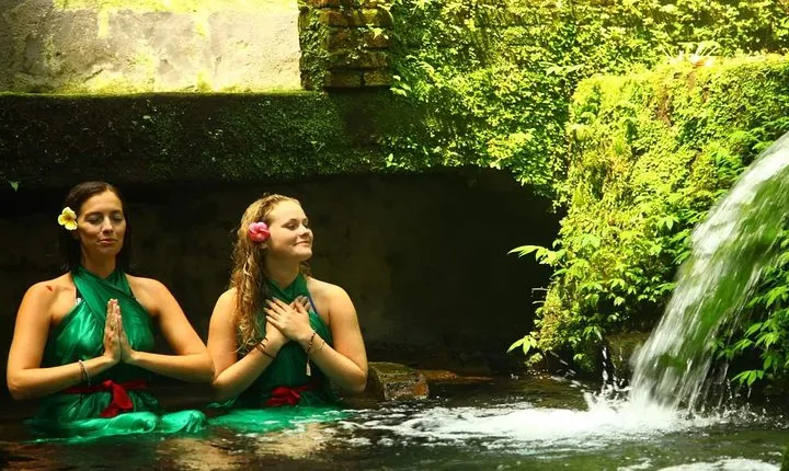 Bali Holy Bath and Jungle Swing Private Day Trip