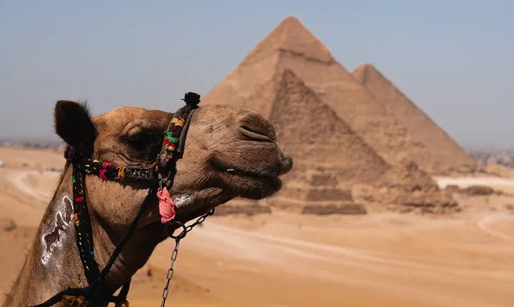 Pyramids and Egyptian Museum - Cairo Tour