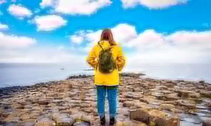 Giant's Causeway, Dark of Hedges & Belfast Day Tour From Dublin
