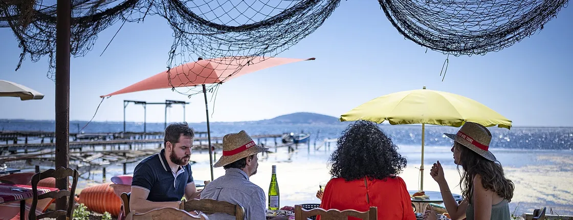 Small-group oyster and wine tasting tour from Sète