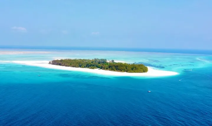 Mnemba island snorkeling tour