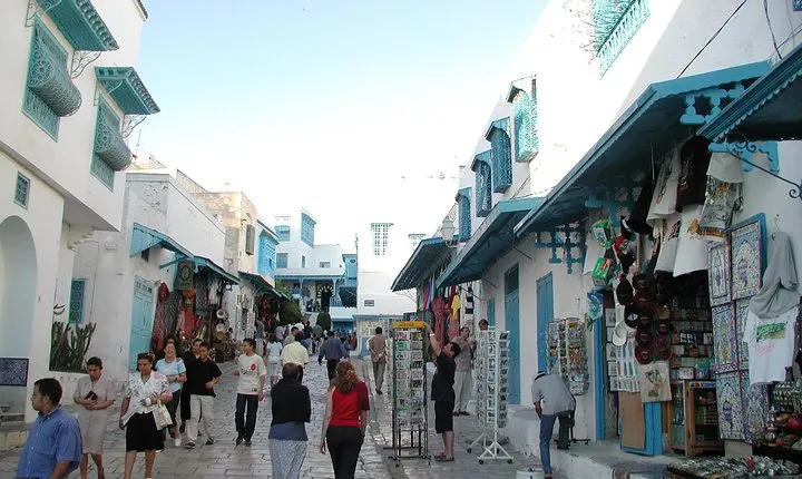 Carthage and Sidi Bou Said Half-Day Guided Tour from Tunis