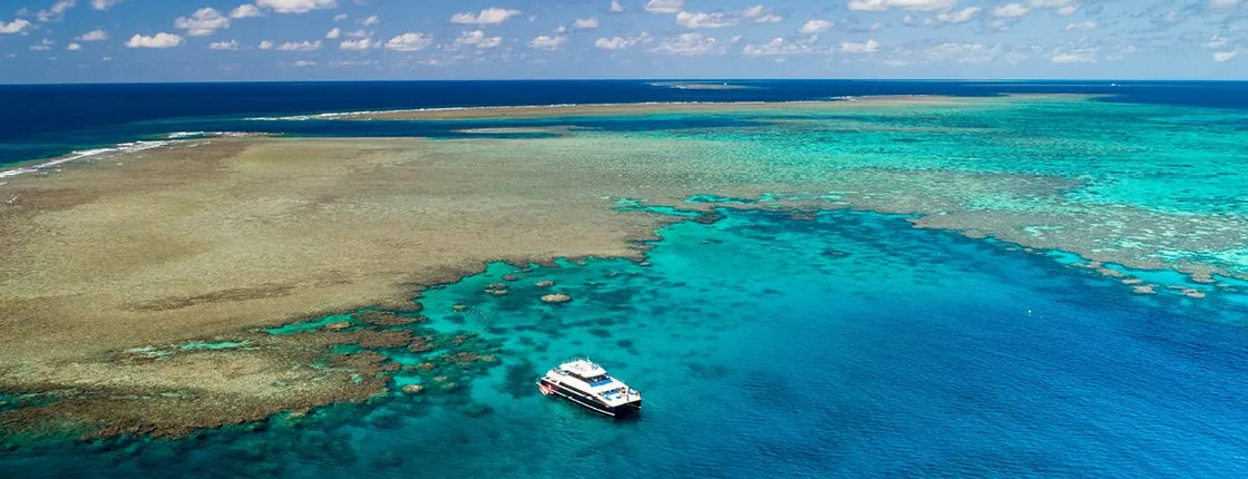 Calypso's Snorkel and Dive in the Outer Barrier Reef Tour