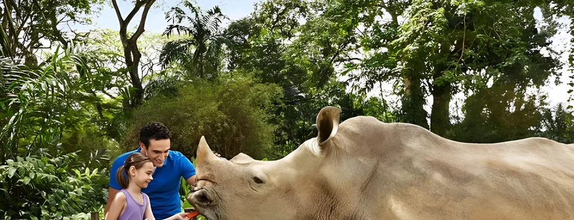 Day Safari With Singapore Zoo And River Wonders Combo