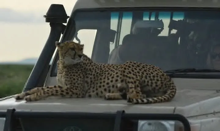 4-Day Small-Group Tour of Tanzania