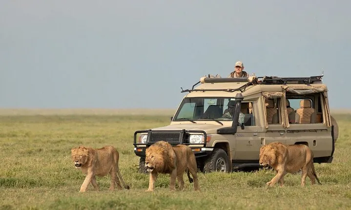 3 Days Safari Ngorongoro Crater and Serengeti National Park