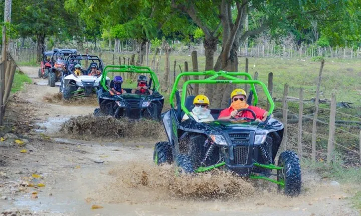Four Wheel or Buggy Tour plus Lunch included shore excursion