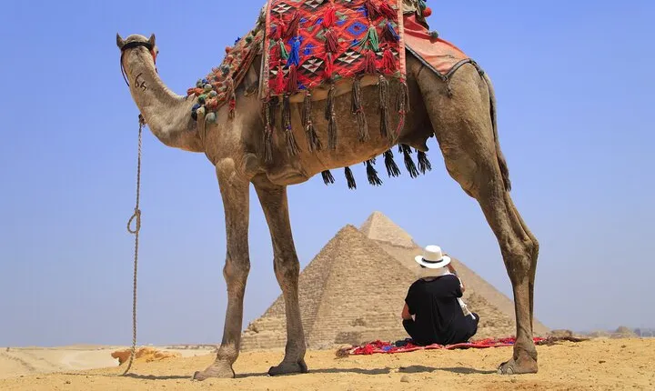 Pyramids of Giza, Sphinx and Egyptian Museum Day Tour