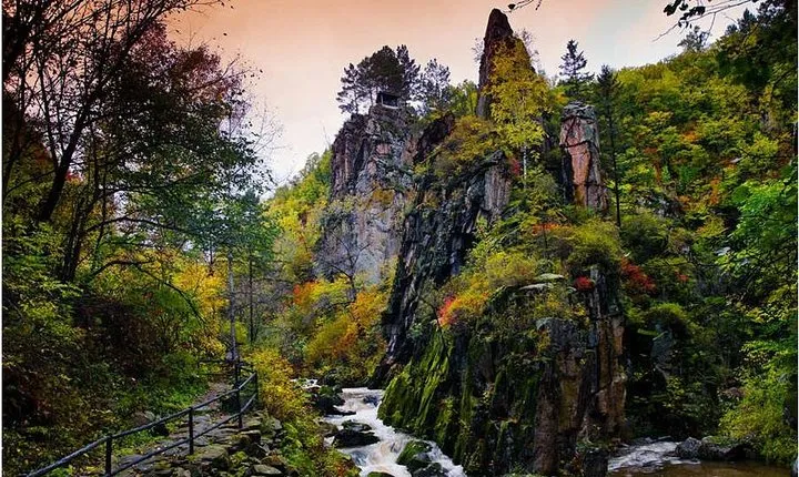 3-Day Yichun City Private Tour with Forest Parks Visit from Harbin