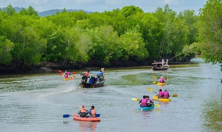 Half Day Mangrove Forest Kayaking Tour From Koh Lanta