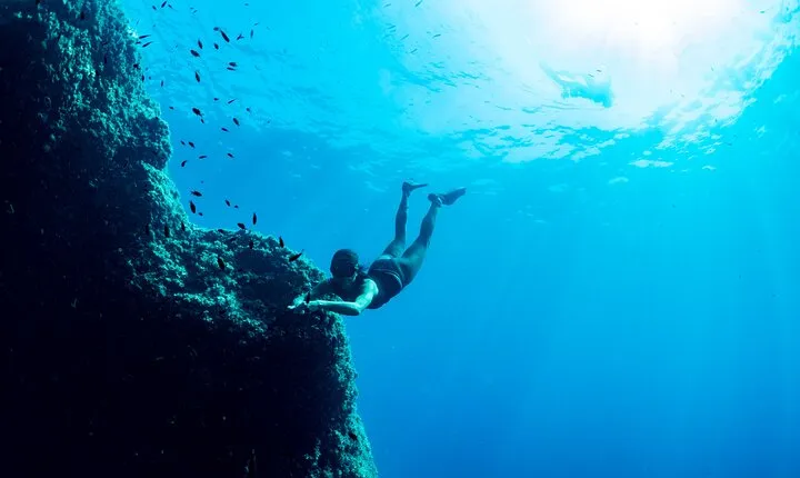 Snorkeling with Marine Biologist Expert from Sorrento