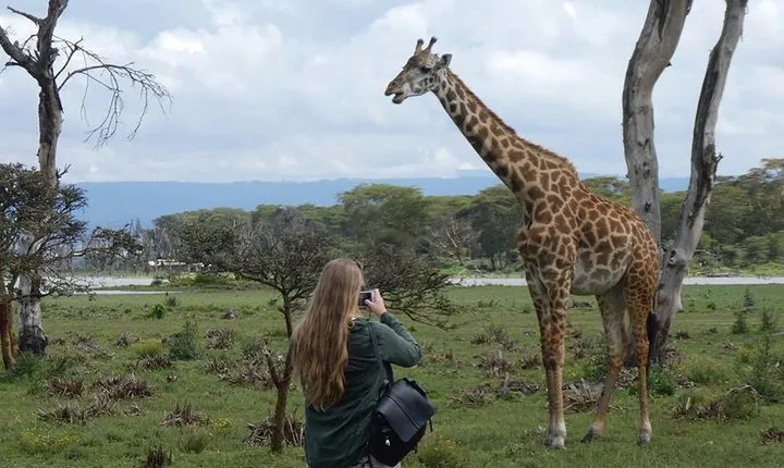3 Days Nairobi National Park,Lake Naivasha &Lake Nakuru National Park