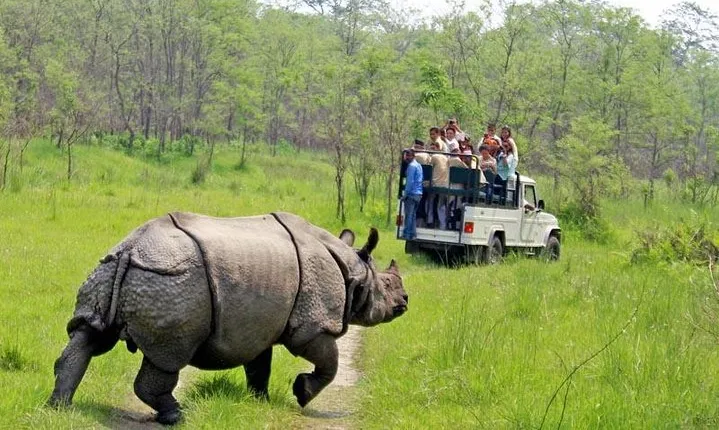 7 Nights 8 days Kathmandu Pokhara and Chitwan Tour in Nepal