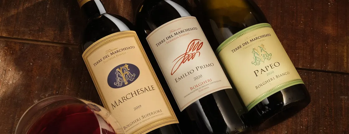 Classic wine tasting at Terre del Marchesato winery