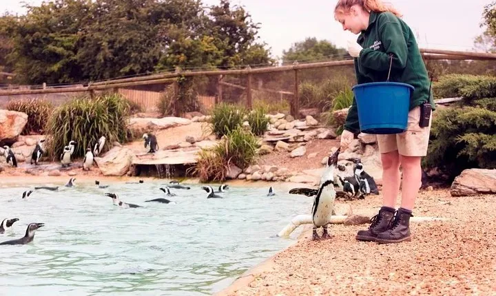 Whipsnade Zoo Entry Ticket