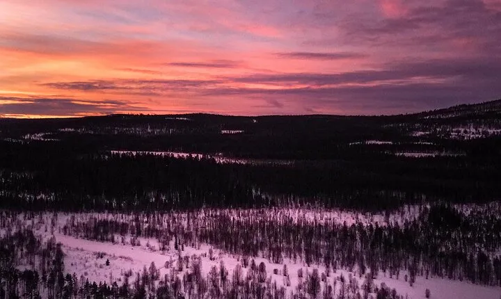 Snowmobile Sleigh Adventure in Authentic Lapland