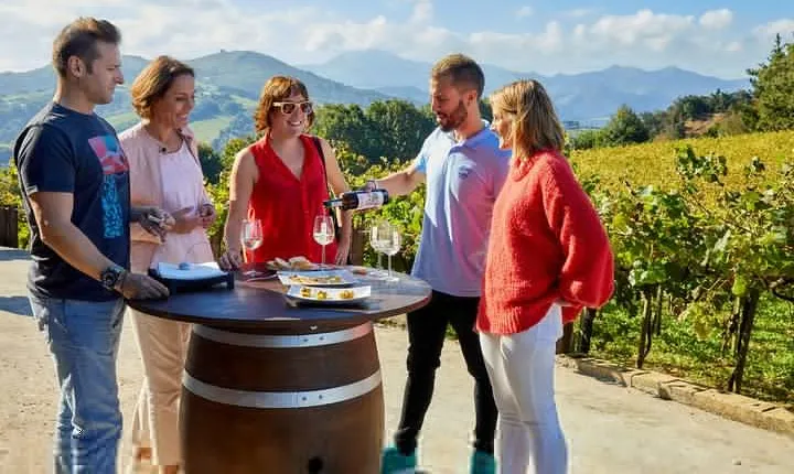 Discover the Essence of Txakoli Wine from San Sebastian