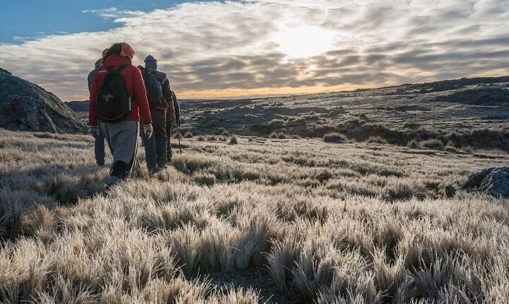 5.5-Hour Nat Park w/ Hiking *Shore Excursion* USHUAIA (Shared tour for cruises)
