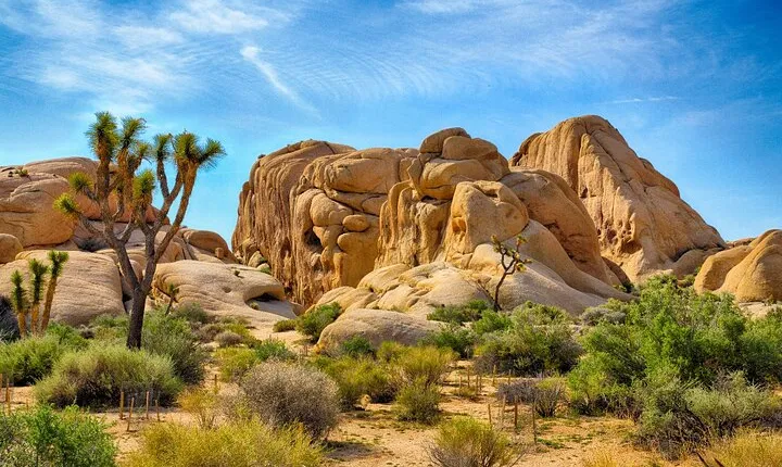 Joshua Tree's Hidden Valley Self-Guided Walking Tour